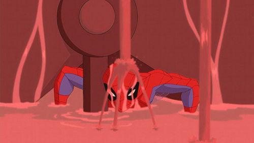 The Spectacular Spider-Man Season 2 Episode 4 - Shear Strength