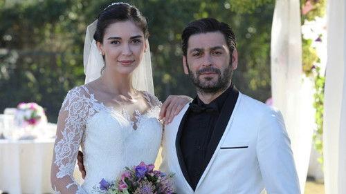 Bandits Cannot Rule The World Season 2 Episode 1 - Episode 41