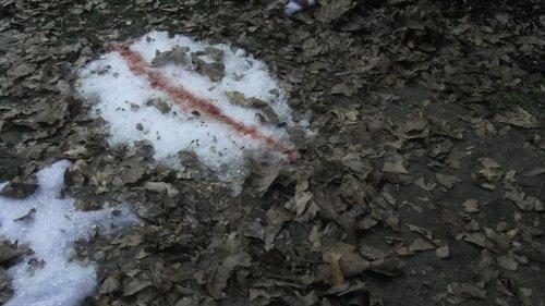 NCIS Season 12 Episode 14 - Cadence