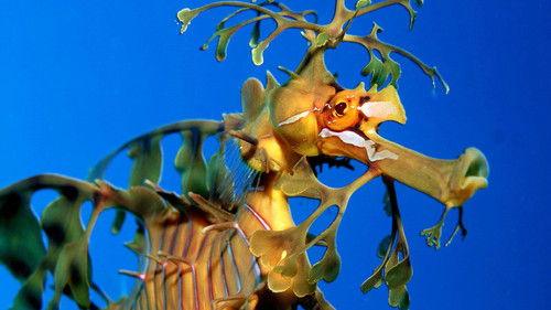 Weird Science Season 4 Episode 16 - Lisa's Childhood Memories