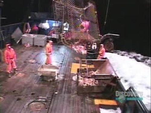 Deadliest Catch Season 1 Episode 2 - Long Sleepless Nights