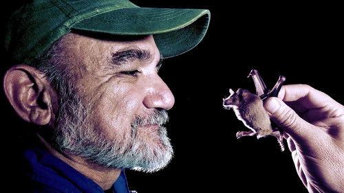 Natural World Season 34 Episode 6 - The Bat Man of Mexico