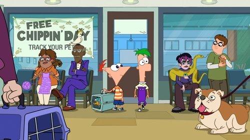 Phineas and Ferb Season 5 Episode 9 - A Chip to the Vet