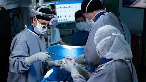 undefined Season 15 Episode 21 - Good Shepherd