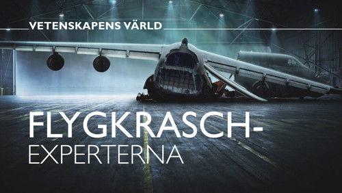 Vetenskapens värld Season 48 Episode 6 - Episode 6