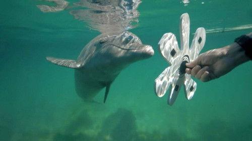 Paroles d'animaux Season 1 Episode 1 - Episode 1