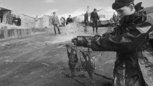 Mystères d'archives Season 4 Episode 10 - Episode 10