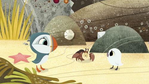 Puffin Rock Season 2 Episode 16 - The Best Shell