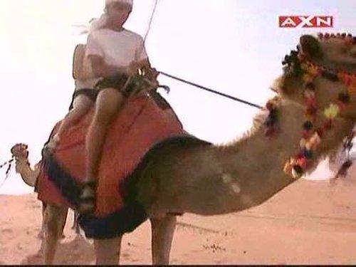 The Amazing Race Asia Season 1 Episode 12 - Oh My Goodness, I Have to Eat a Brain!