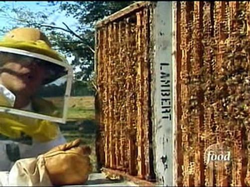 Good Eats Season 4 Episode 8 - Pantry Raid IV: Comb Alone