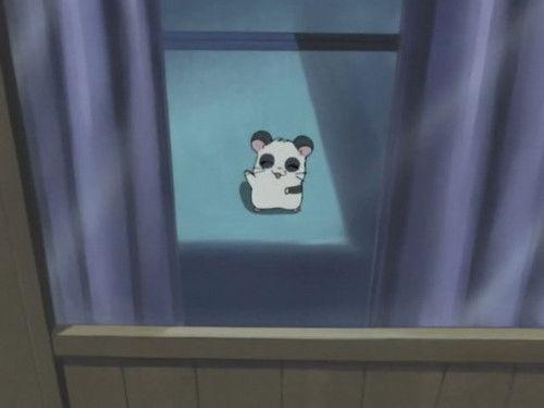 Hamtaro Season 1 Episode 35 - Midnight Celebration