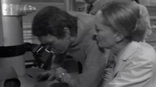 A come Andromeda Season 1 Episode 2 - Episode 2