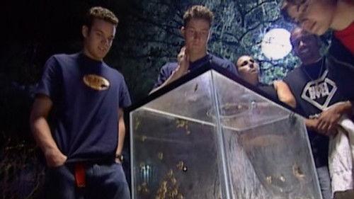 Road Rules Season 11 Episode 7 - Alligators, Bugs, and Snakes Oh My!!!