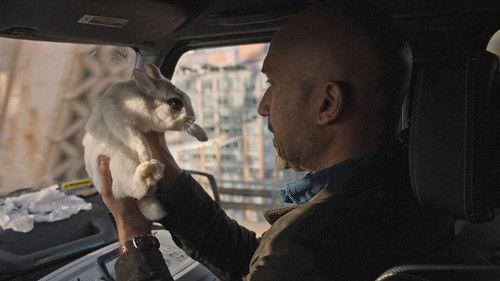 Friends from College Season 1 Episode 2 - Connecticut House