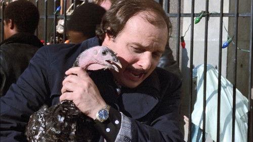 Hill Street Blues Season 6 Episode 10 - The Virgin and the Turkey