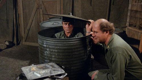 undefined Season 7 Episode 21 - Rally 'Round the Flagg, Boys