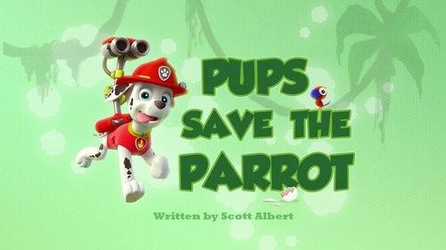 undefined Season 2 Episode 25 - Pups Save the Parrot