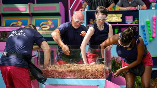 I'm a Celebrity...Get Me Out of Here! Season 24 Episode 18 - Arcade of Agony: Grim Grabbers / Grimball