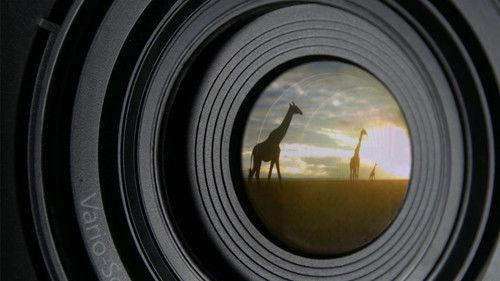 NOVA Season 46 Episode 23 - Animal Espionage