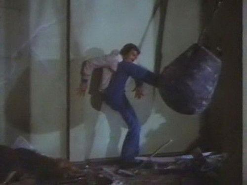 The Six Million Dollar Man Season 5 Episode 19 - Date with Danger (1)