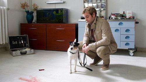 SOKO Wismar Season 9 Episode 25 - Episode 25