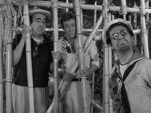 undefined Season 1 Episode 15 - So Sorry, My Island Now