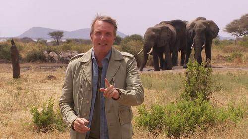 Pékin Express Season 20 Episode 1 - Episode 1