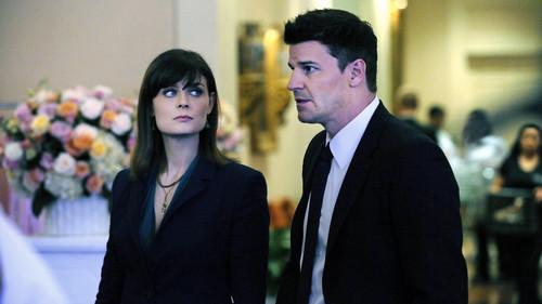 undefined Season 6 Episode 14 - The Bikini in the Soup