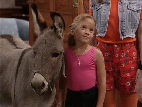 Full House Season 8 Episode 6 - You Pet It, You Bought It