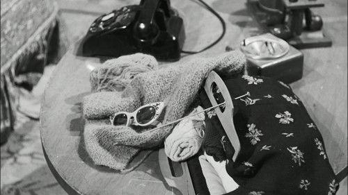 Perry Mason Season 4 Episode 1 - The Case of the Treacherous Toupee