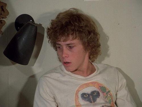 Eight Is Enough Season 2 Episode 15 - A Hair of the Dog