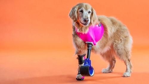 The Wizard of Paws Season 1 Episode 6 - Pearl