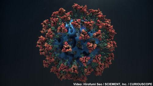 NHK WORLD PRIME Season 4 Episode 18 - Exposing the Coronavirus: Our Invisible Enemy in 3DCG