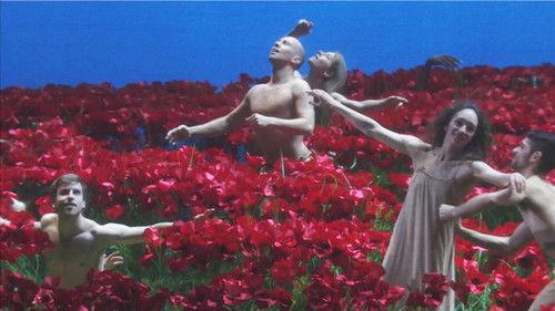 Great Performances Season 41 Episode 25 - Great Performances at the Met: Prince Igor