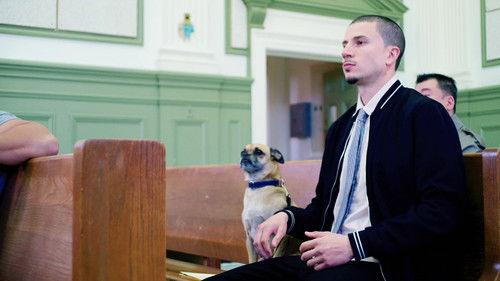 It's Bruno! Season 1 Episode 7 - Ranger Danger