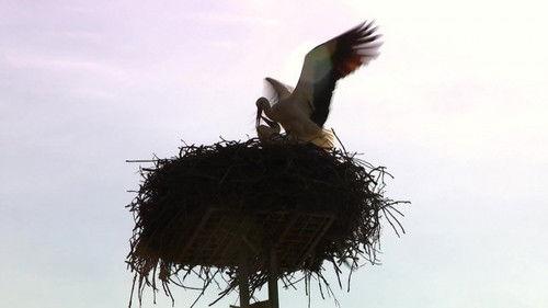 Ljubav je na selu Season 16 Episode 1 - Episode 1