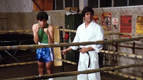 CHiPs Season 4 Episode 16 - Karate