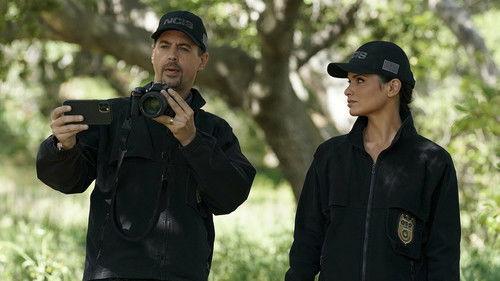 undefined Season 19 Episode 21 - Birds of a Feather