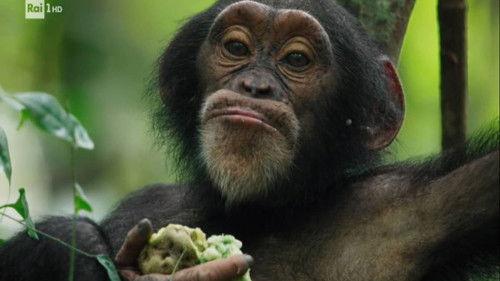 Superquark Season 27 Episode 7 - With Alberto Angela in Aosta