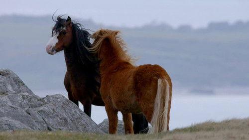 Wales: Land of the Wild Season 1 Episode 1 - The Return of The Sun