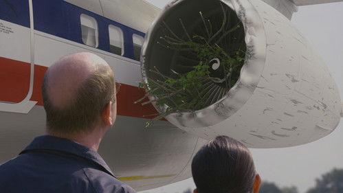 Mayday Season 22 Episode 8 - Tree Strike Terror