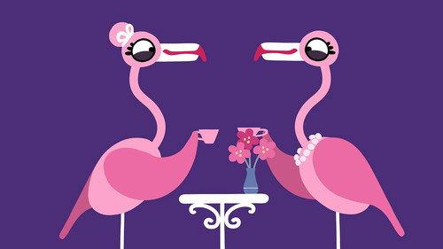 Animanimals Season 1 Episode 15 - Flamingo