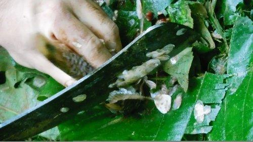 Naked and Afraid Season 3 Episode 2 - Blood in the Water