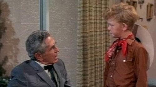 Family Affair Season 4 Episode 23 - The Old Cowhand