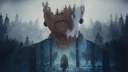 Storyville Season 26 Episode 2 - Misha and the Wolves