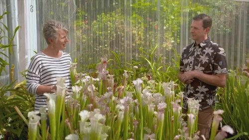 Gardening Australia Season 34 Episode 3 - Episode 3 Rust, Shade, Dementia & Sarracenia