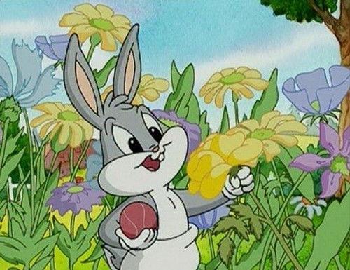 Baby Looney Tunes Season 1 Episode 14 - Duck! Monster! Duck!