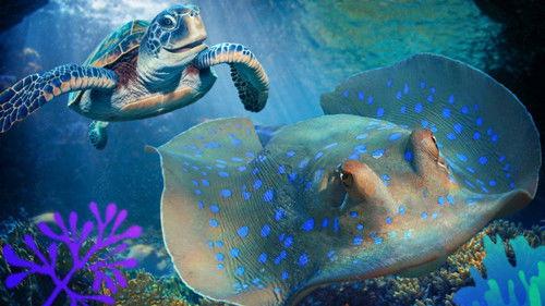 Reef School Season 2 Episode 5 - Spooky Fish