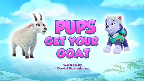 PAW Patrol Season 11 Episode 5 - Pups Get Your Goat