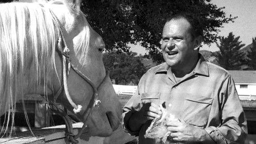 The Fugitive Season 1 Episode 10 - Fatso